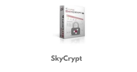 SkyCrypt Free Open Sourse States Viewer Software For Gamers 2023